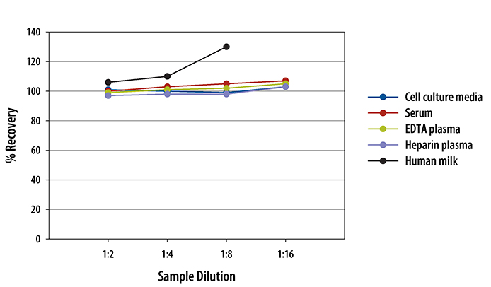  Human Thrombospondin-2 Quantikine ELISA Kit 