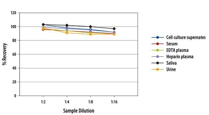 Human Clusterin Quantikine ELISA Kit 