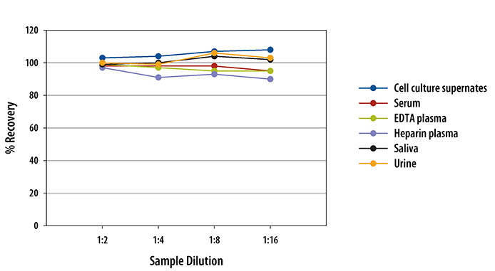 Human Mesothelin Quantikine ELISA Kit 