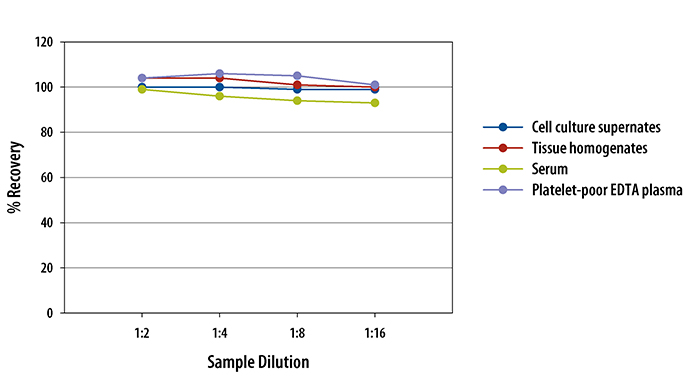  Mouse/Rat HGF Quantikine ELISA Kit 