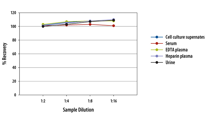  Human GDF-15 Quantikine ELISA Kit