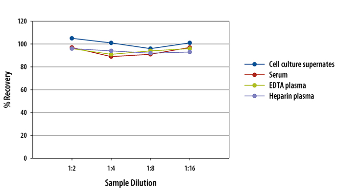  Mouse CXCL13/BLC/BCA-1 Quantikine ELISA Kit
