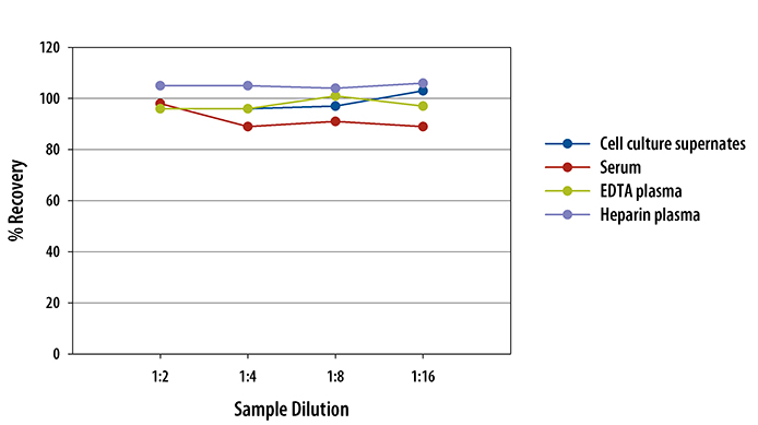  Mouse Chitinase 3-like 1 Quantikine ELISA Kit