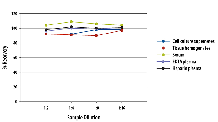 Mouse Tie-2 Quantikine ELISA Kit 