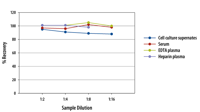 Mouse Dkk-1 Quantikine ELISA Kit 