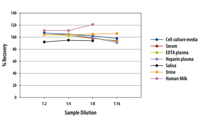  Human CD40 Quantikine ELISA Kit