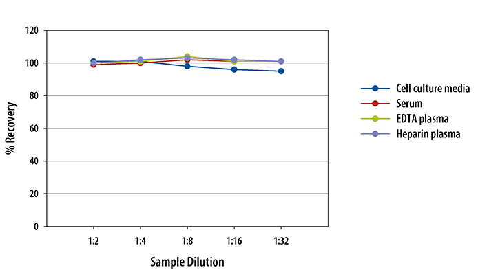  Human FGF basic Quantikine ELISA Kit