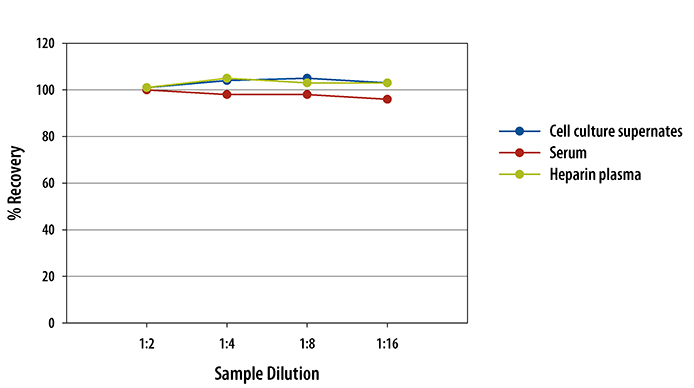  Mouse MFG-E8 Quantikine ELISA Kit