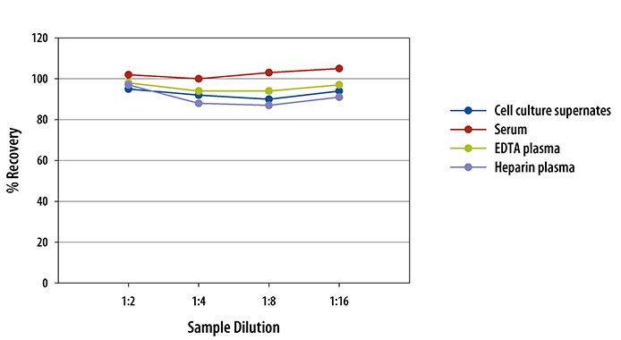 Rat CXCL3/CINC-2 alpha/beta Quantikine ELISA Kit 