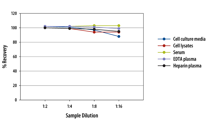  Human COMP Quantikine ELISA Kit