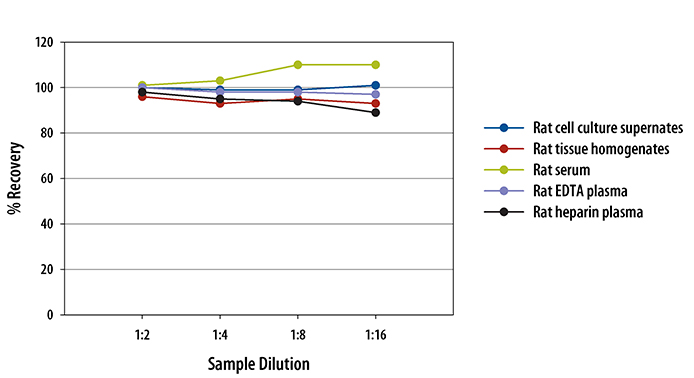  Mouse TREM-1 Quantikine ELISA Kit 