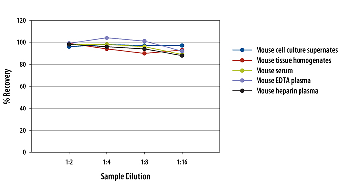 Mouse/Rat RGM-A Quantikine ELISA Kit 