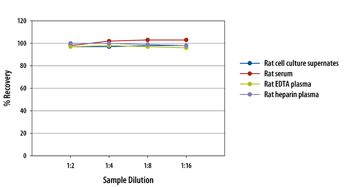  Mouse/Rat RGM-A Quantikine ELISA Kit