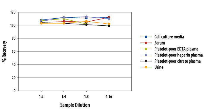  Human CCL5/RANTES Quantikine ELISA Kit 