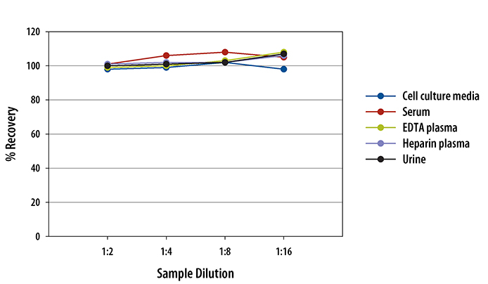 Human Renin Quantikine ELISA Kit 