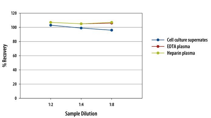 Human CXCL12/SDF-1 alpha Quantikine ELISA Kit 