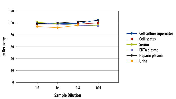 Mouse Endoglin/CD105 Quantikine ELISA Kit 