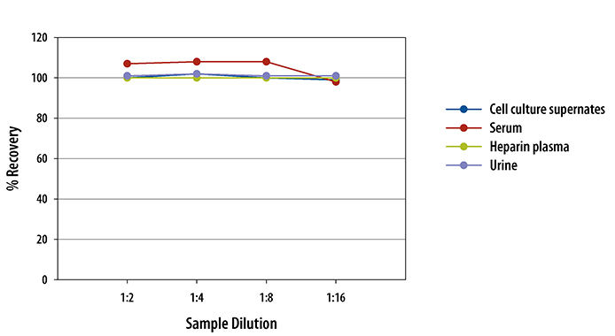 Human ADAM12 Quantikine ELISA Kit 