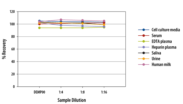  Human EMMPRIN/CD147 Quantikine ELISA Kit