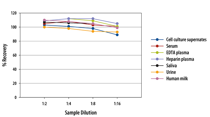 Human Cystatin B Quantikine ELISA Kit