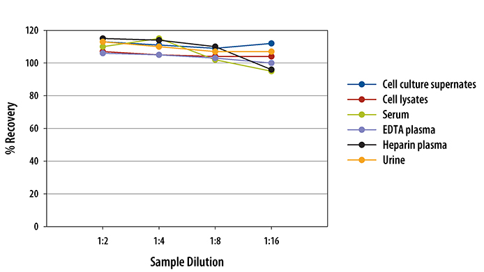 Mouse RBP4 Quantikine ELISA Kit 