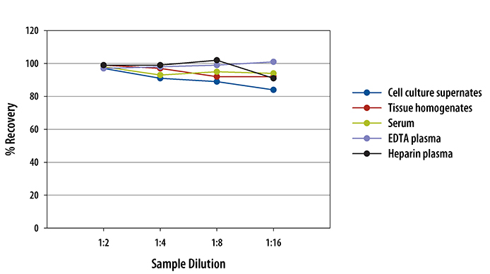 Mouse LDL R Quantikine ELISA Kit 