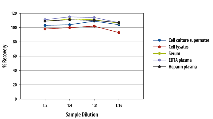  Mouse CD40 Quantikine ELISA Kit