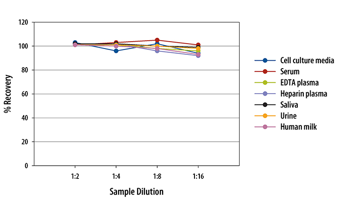 Human FOLR1 Quantikine ELISA Kit 