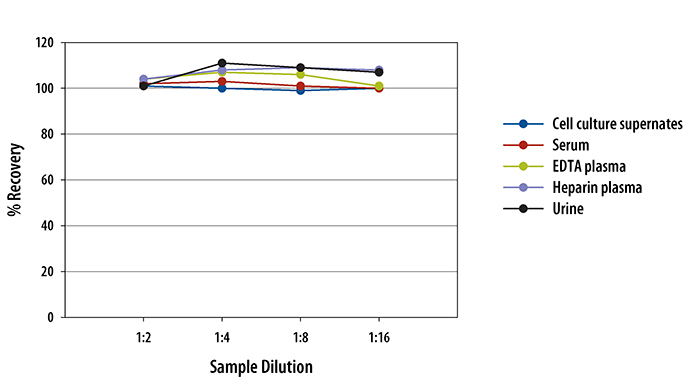 Human CD23/Fc epsilon RII Quantikine ELISA Kit 