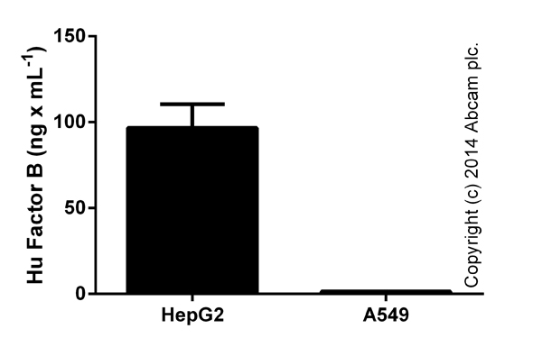 Factor B measured in culture supernatants (duplicates +/- SD).