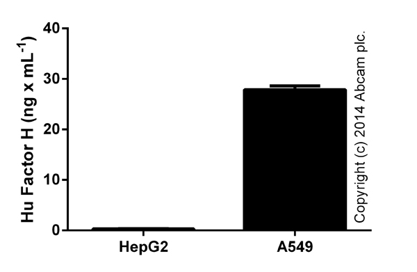 Factor H measured in culture supernatants (duplicates +/- SD).
