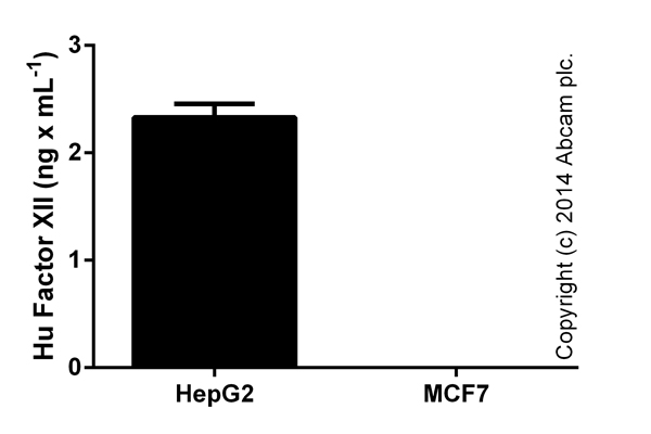 Factor XII measured in culture supernatants, MCF-7 levels below level of detection (duplicates +/- SD).