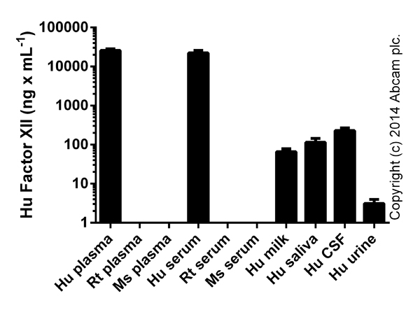 Factor XII measured in biological fluids (duplicates +/- SD).