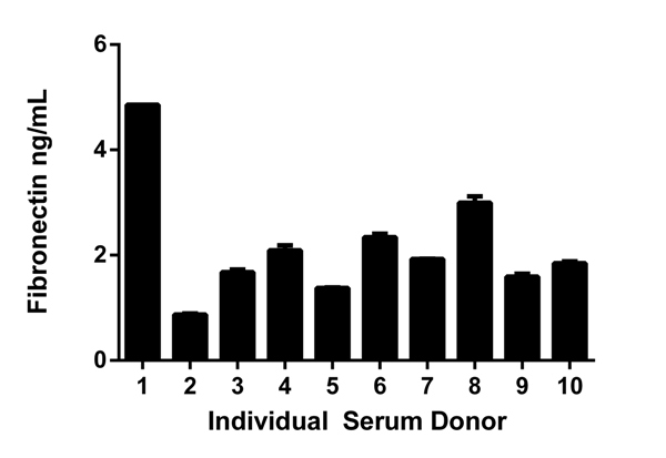 Background subtracted data from duplicate measurements are plotted.