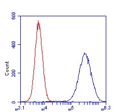 Analysis of HSP60 staining in Hela cells by Flow: blue: 1µg/mL HSP60 antibody; red: an equal amount of an isotype control antibody.