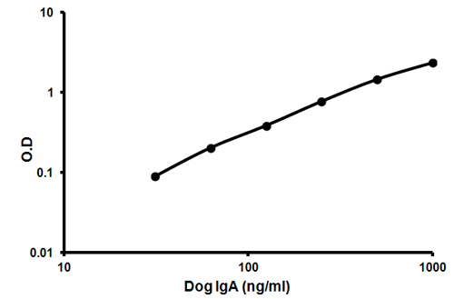 Representative standard curve using ab157699 IgA Dog ELISA Kit