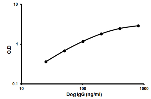 Representative standard curve using ab157701 IgG Dog ELISA kit