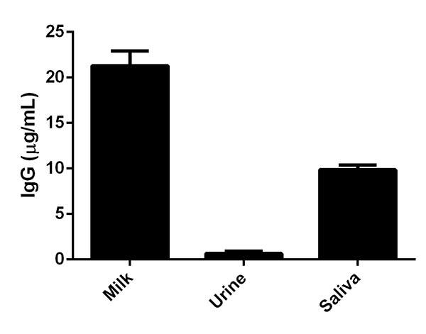 Bodily fluids from 3 different donors were evaluated for the presence of IgG using this assay. Results were interpolated from the standard curve in sample diluent NS and corrected for sample dilution (1:2.5x104). The mean levels in Milk were found at 20.7 µg/mL, in Urine at 0.8 µg/mL and in Saliva at 11.1 µg/mL.