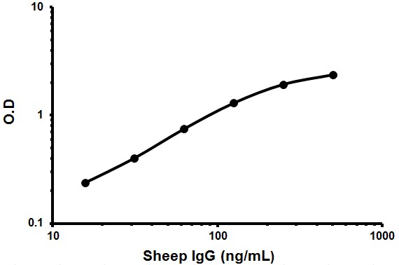 Representative standard curve using ab190546 IgG Sheep ELISA Kit
