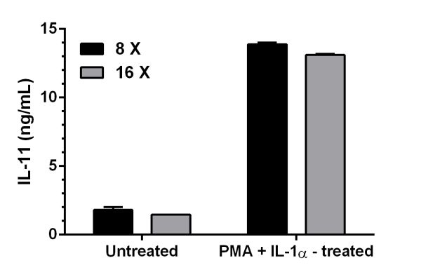 MRC5 cells were grown in 10F HGDMEM media in the absence or presence of 10 ng/mL phorbol 12-myristate 13-acetate (PMA) and 1 ng/mL IL-1 alpha (ab9616) for 48 hours. IL-11 concentrations were measured in 8 and 16 X diluted cell culture supernatants using this kit. Interpolated data values adjusted for sample dilution are graphed (mean +/- SD, n=3) in ng of IL-11 per mL of cell culture supernatant.