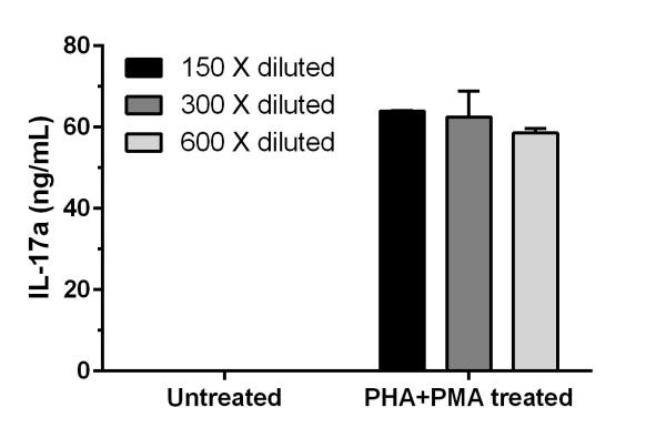 EL4 cells were cultured in the absence or presence of 1.5% PHA and 10 ng/mL PMA for 48 hours. The cell culture supernatants were collected and their dilutions (as indicated) were measured with this kit. Interpolated concentrations of IL-17a adjusted for sample dilution are graphed in ng of IL-17a per mL of supernatant (mean +/- SD, n = 2). Note that IL-17a is not detectable in the untreated EL4 supernatant samples.