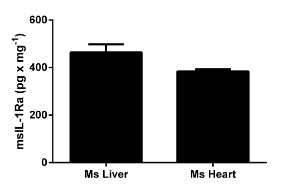 IL-1Ra measured in mouse tissue lysates (expressed as per mg of extracted protein), with background signal subtracted (duplicates; +/- SD).