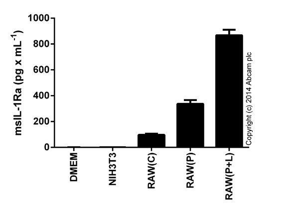 IL-1Ra detected in supernatants from RAW 246.7 control cells (C) or cells stimulated for 24 hours with 50 ng x mL-1 of PMA (ab120297) (P), or 24 hours with PMA and 1 ug x mL-1 of LPS (Sigma) (P+L) for the last 6 hours. Results shown after background signal was subtracted (duplicates +/- SD).