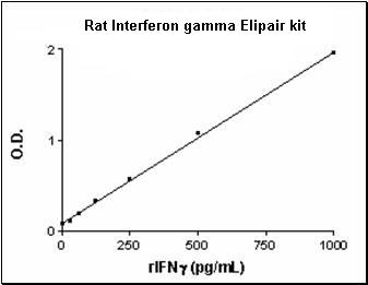 Rat Inteferon gamma standard curve ranging from 31.25 to 1000 pg/mL.