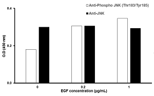 HeLa cells were stimulated by different concentrations of anisomycin for 15 minutes at 37°C.  
