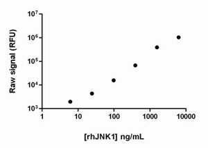 A dilution series of recombinant active JNK1alpha was prepared by diluting to various concentrations in Lysis Mix, containing 0.1% BSA. These dilution series were analyzed using the PhosphoTracer phospho-JNK assay. Limit of detection of active rhJNK was around 50 ng/mL.