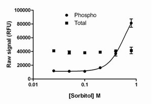 PhosphoTracer JNK 1/2/3 (pT183/Y185) ELISA Kit (ab119634) used in Sandwich ELISA.