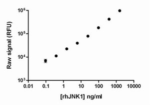 A dilution series of recombinant active JNK1alpha was prepared by diluting to various concentrations in Lysis Mix, containing 0.1% BSA. These dilution series were analyzed using the PhosphoTracer phospho-JNK assay. Limit of detection of active rhJNK was around 10 ng/mL.
