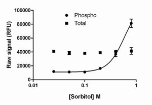 PhosphoTracer JNK 1/2/3 Total ELISA Kit (ab119635) used in Sandwich ELISA.