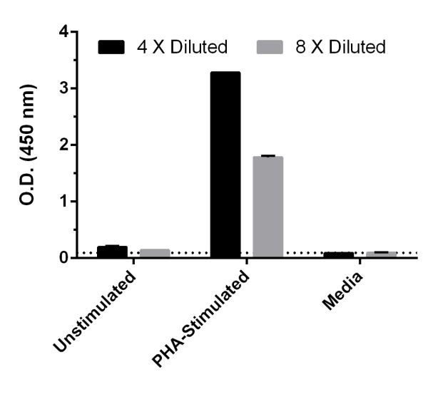 PBMC were grown in the absence or presence of phytohemagglutinin (PHA) for 48 hours. MCP3 concentrations were measured in 4 X and 8 X diluted cell culture supernatants of the unstimulated PBMC and the stimulated PBMC, and 10F RPMI1640 media. Raw data values (mean +/-SD, n=2) are graphed. The dotted line represents Blank control.